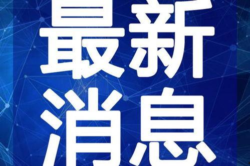 齐美口腔爆料视频最新,口腔护理新趋势与行业真相