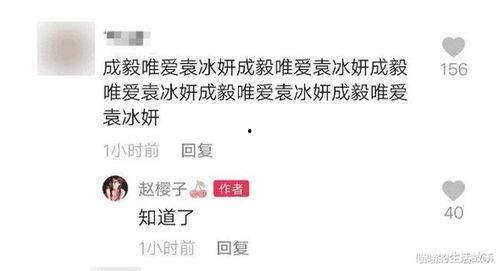 爆料赵樱子结婚视频,幸福时刻感动网友
