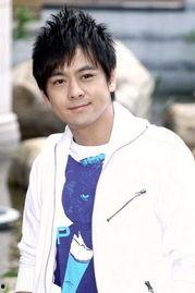 林志颖前夫爆料新闻,揭秘明星婚姻背后的真相