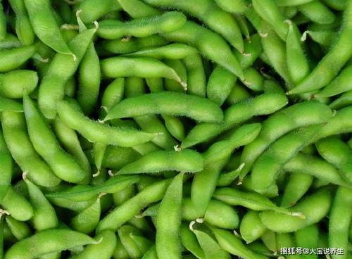 网红我勒个豆吃瓜,揭秘网红背后的真实故事