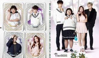 网络韩剧奇迹在线观看,揭秘网络韩剧的火爆魅力