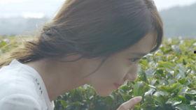 允儿爆料视频大全集,揭秘明星幕后生活点滴