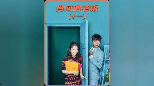 在线观看内向老板,揭秘高效沟通与团队管理的秘诀